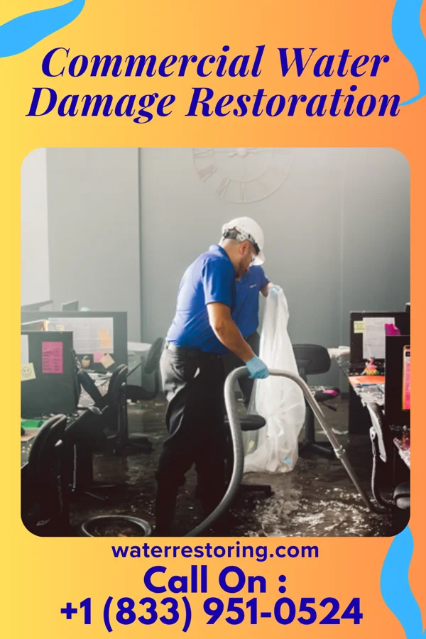 Commercial Water Damage Restoration in Burnsville, MN