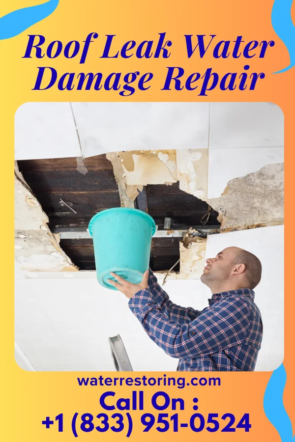 Roof Leak Water Damage Repair in Burnsville, MN